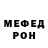 Amphetamine VHQ Polina Cat