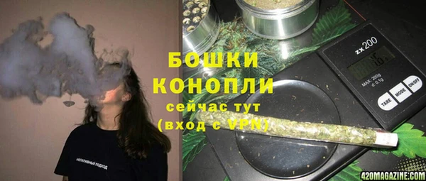 ПСИЛОЦИБИНОВЫЕ ГРИБЫ Горняк
