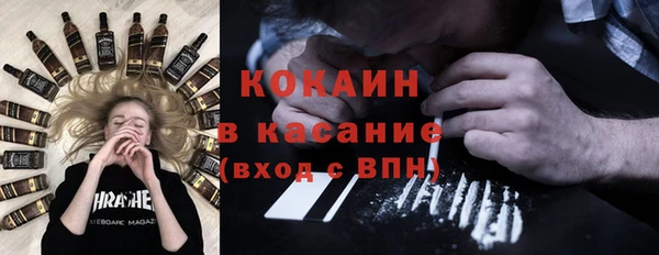 ПСИЛОЦИБИНОВЫЕ ГРИБЫ Горняк
