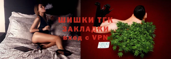ПСИЛОЦИБИНОВЫЕ ГРИБЫ Горняк