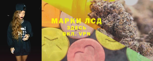 ПСИЛОЦИБИНОВЫЕ ГРИБЫ Горняк