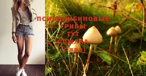 скорость Горно-Алтайск
