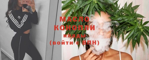 ПСИЛОЦИБИНОВЫЕ ГРИБЫ Горняк