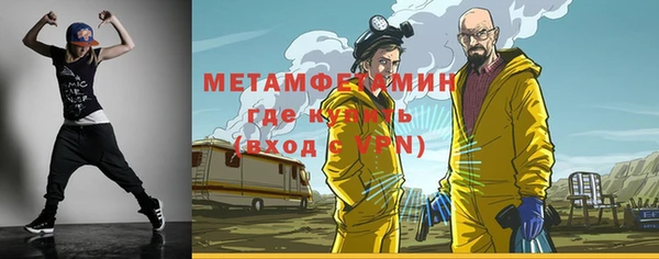 ПСИЛОЦИБИНОВЫЕ ГРИБЫ Горняк